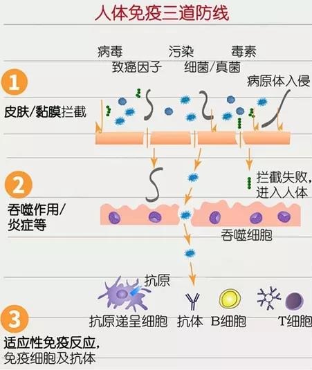 微信图片_20200813113414.jpg